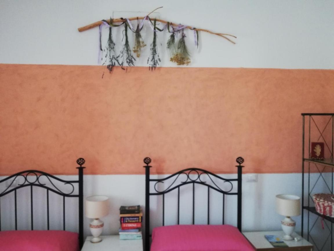 Hotel Insula -- Telti Extérieur photo